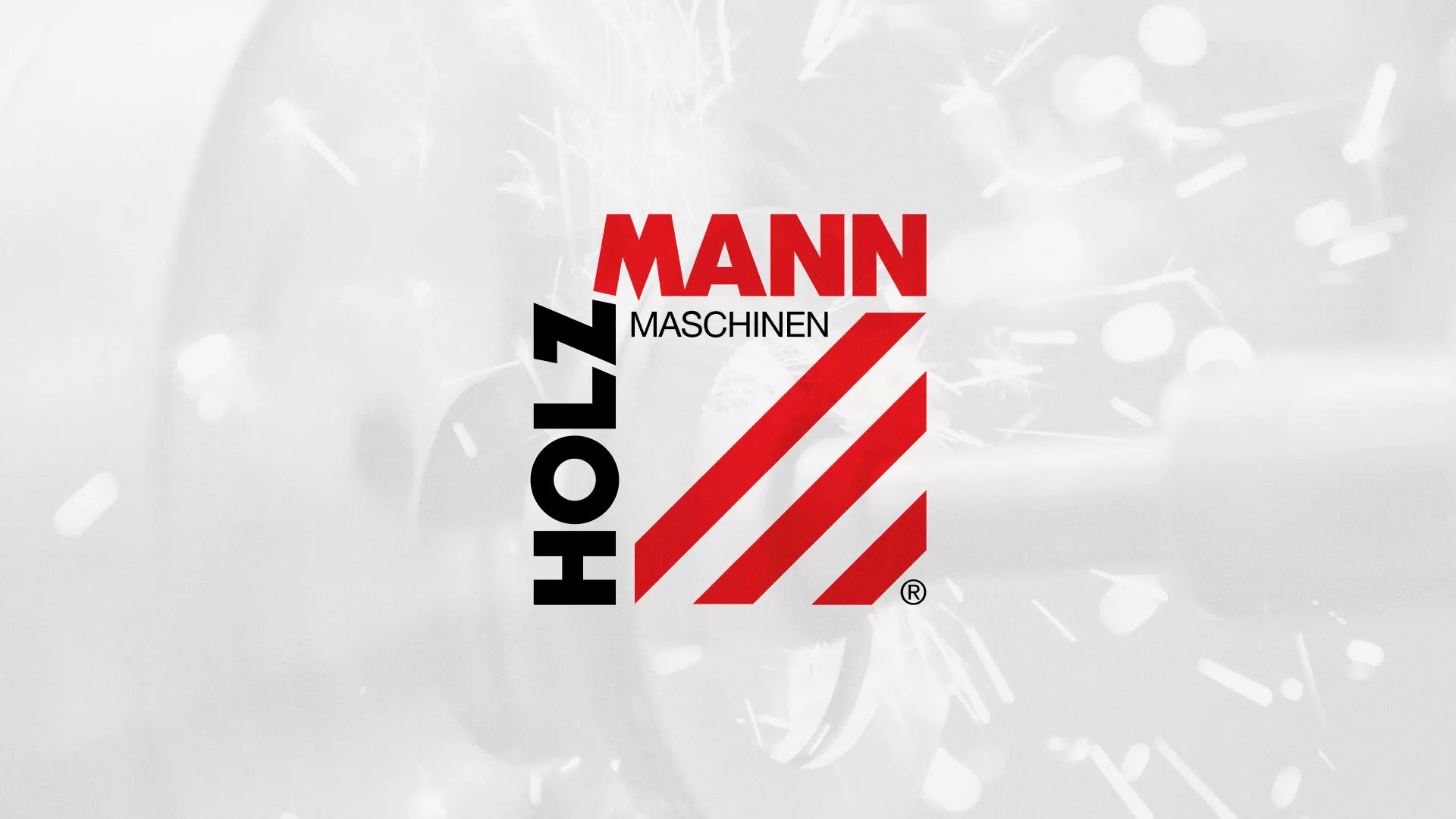 Создание сайта компании «HOLZMANN Maschinen GmbH» в Егорьевске